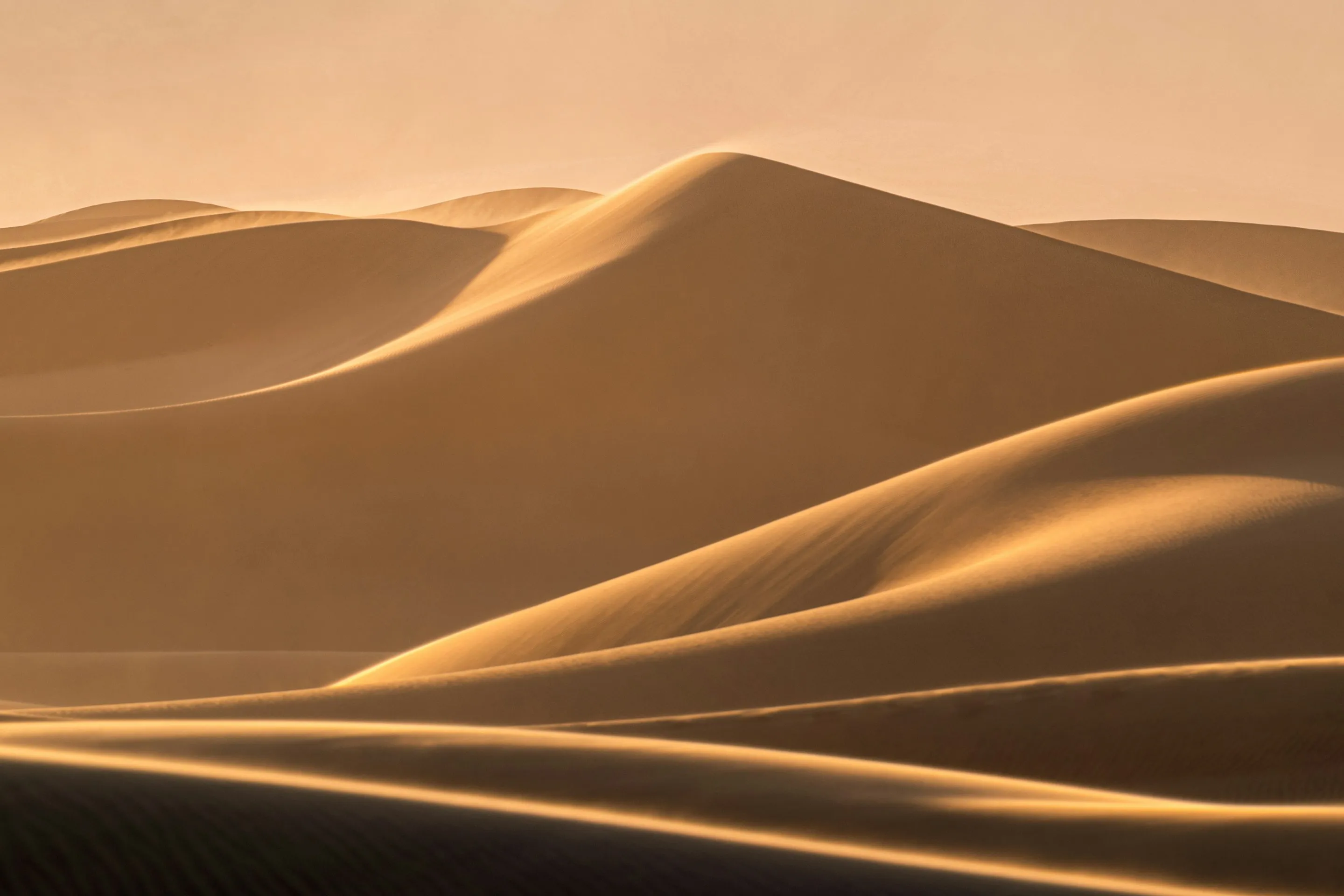 Golden sand dunes in hazy evening light as the Mac desktop wallpaper under Snippet's open notch